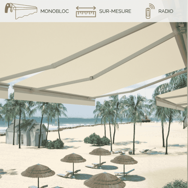 ART 350 - Store banne monobloc sur mesure (Grandes dimensions)